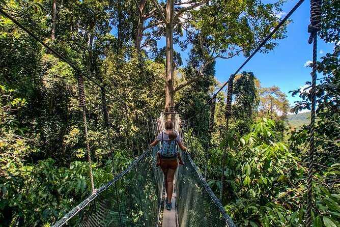 Kinabalu Park & Poring Hot Springs Tour with Desa Dairy Farm - Poring Hot Springs offers a short warm-water break