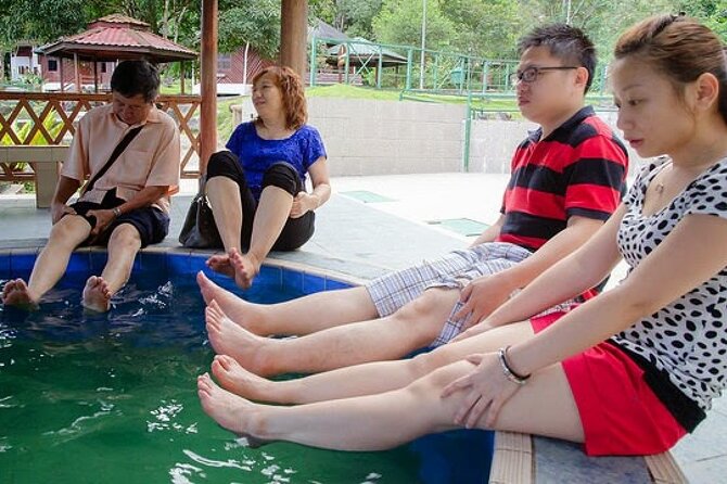 Kinabalu Park Tour with Desa Dairy Farm & Poring Hot Springs - Desa Dairy Farm and the Little New Zealand view