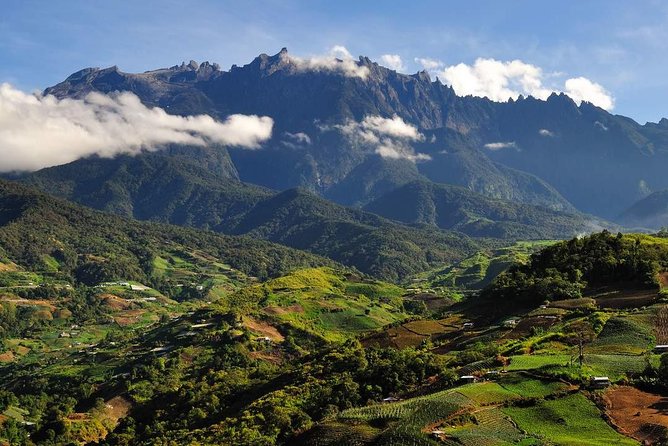 Kinabalu Park Tour with Desa Dairy Farm & Poring Hot Springs - Poring Nature Reserve and the 200-foot canopy walkway