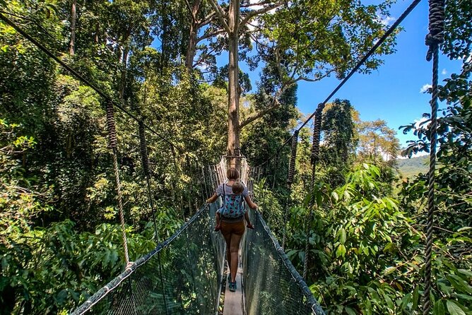 Kinabalu Park Tour with Desa Dairy Farm & Poring Hot Springs - The 7:15 am drive toward Mount Kinabalu