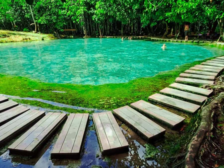 Ko Lanta: Full Day Emerald Pool&Hot Spring With Tiger Temple - Why this day trip works from Ko Lanta