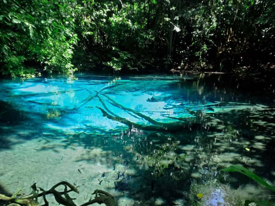 Ko Lanta: Full Day Emerald Pool&Hot Spring With Tiger Temple - The long ride back to Ko Lanta