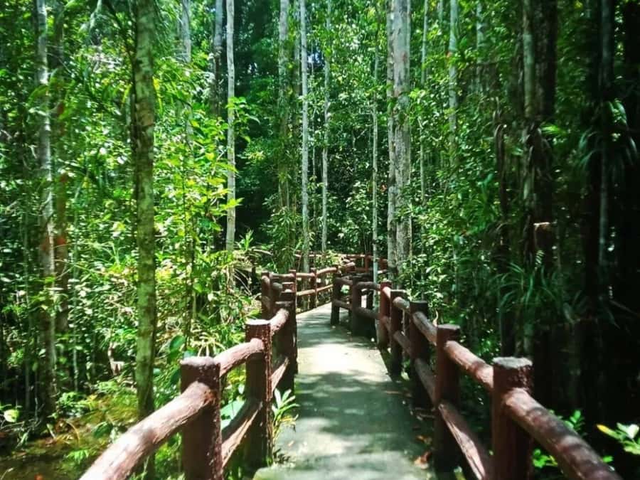 Ko Lanta: Full Day Emerald Pool&Hot Spring With Tiger Temple - Is $160 good value?