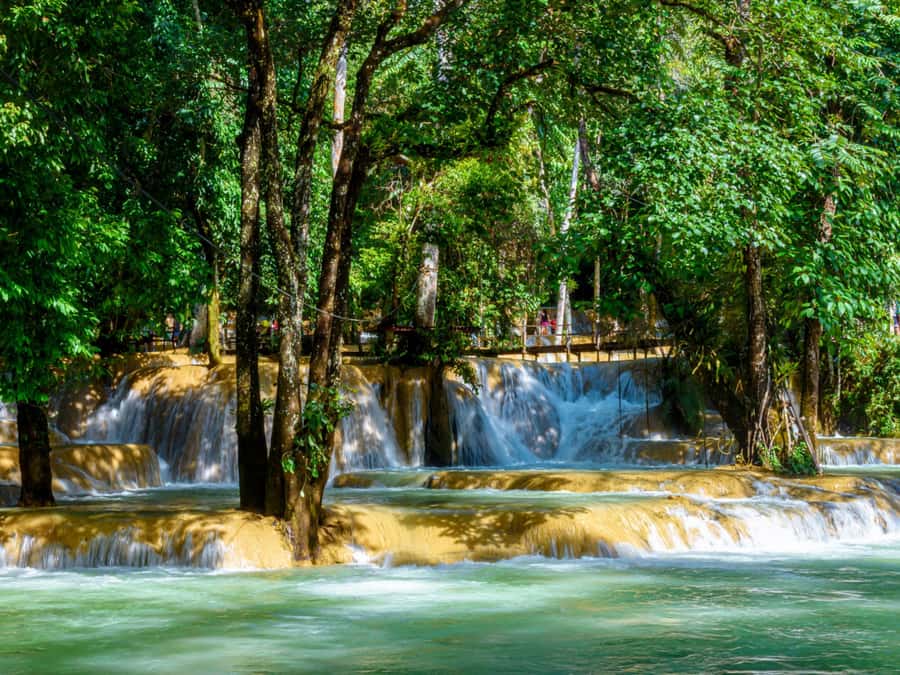 Ko Lanta: Private Tiger Cave, Hot Spring & Emerald Pool Tour - The driver and day-to-day service