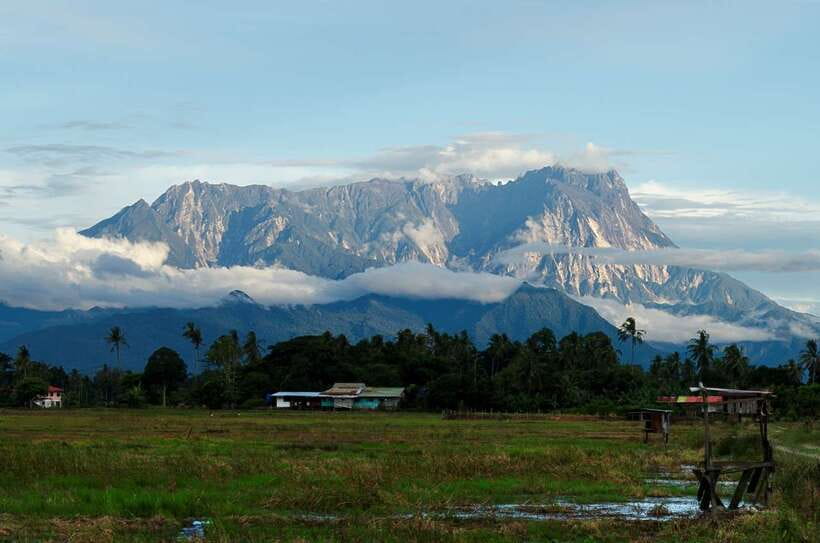 Kota Kinabalu: Private Kundasang and Poring Hot Spring Tour - What this private Kundasang day trip is really like