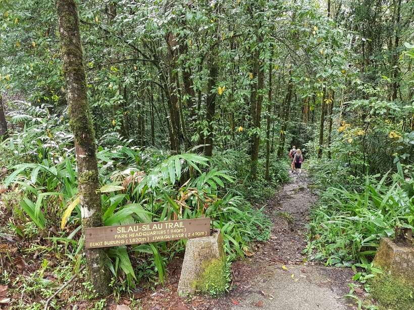 Kota Kinabalu: Private Kundasang and Poring Hot Spring Tour - Silau-Silau trails: short walks with real footing concerns
