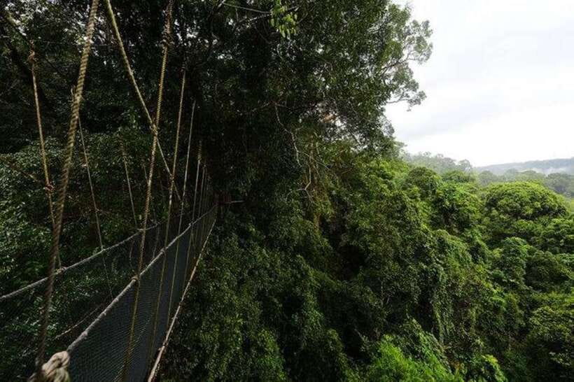 Kota Kinabalu: Private Kundasang and Poring Hot Spring Tour - What to bring for a wet mountain day