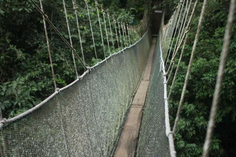 Kota Kinabalu: Private Kundasang and Poring Hot Spring Tour - Nabalu Handicraft Market: a short taste of local shopping