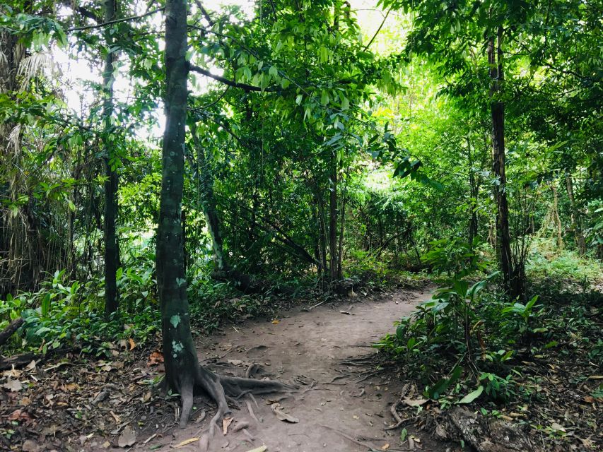 Krabi: Emerald Pool and Hot Springs Waterfall Half-Day Trip - Walking through Khao Phra Bang Khram Nature Reserve