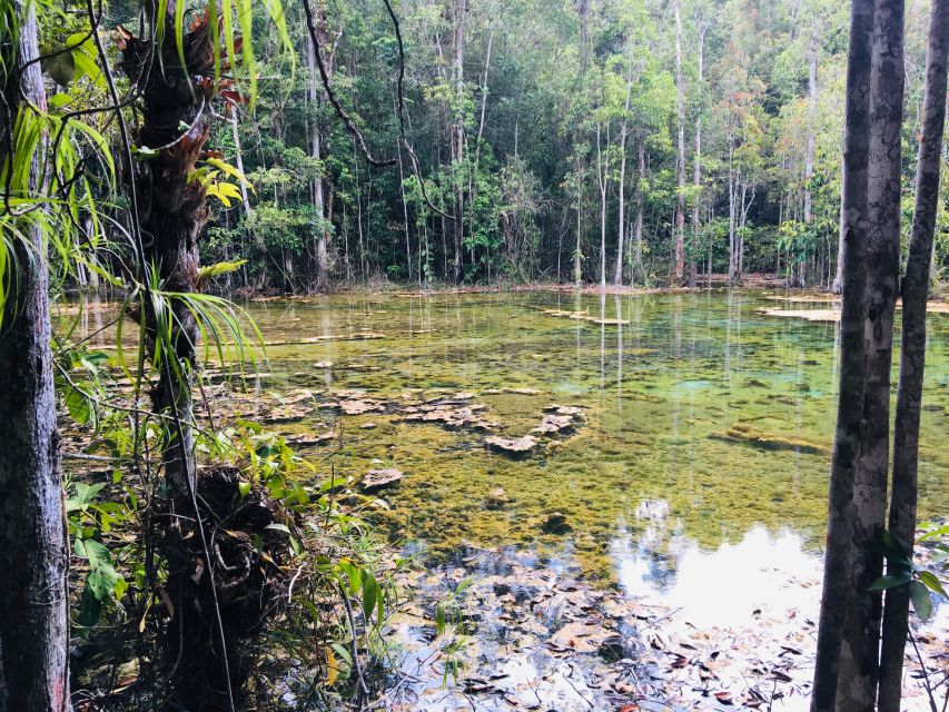 Krabi: Emerald Pool and Hot Springs Waterfall Half-Day Trip - The Emerald Pool and its unusual green color