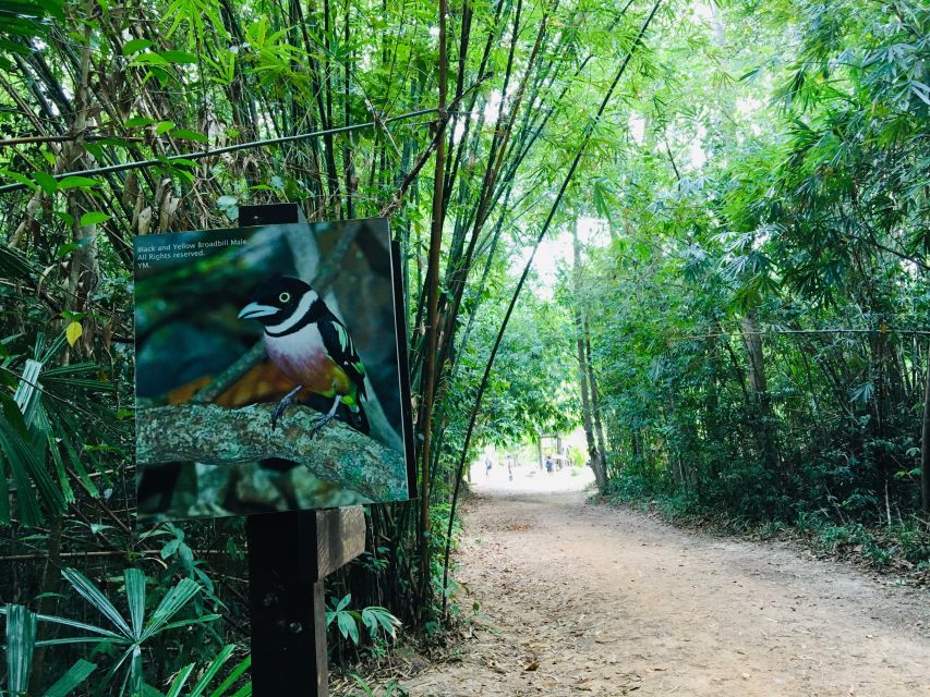 Krabi: Emerald Pool and Hot Springs Waterfall Half-Day Trip - Is $43 good value?
