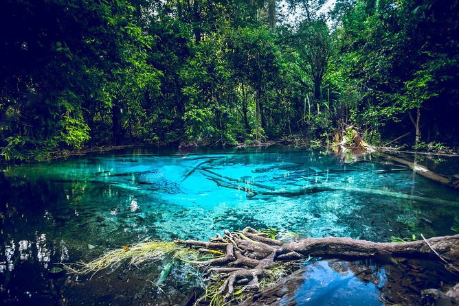 Krabi Emerald Pool, Hot Spring and Tiger Temple - Key points at a glance