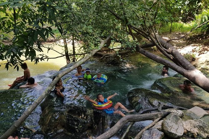 Krabi Emerald Pool, Hot Spring and Tiger Temple - Pickup, vehicle, and group size