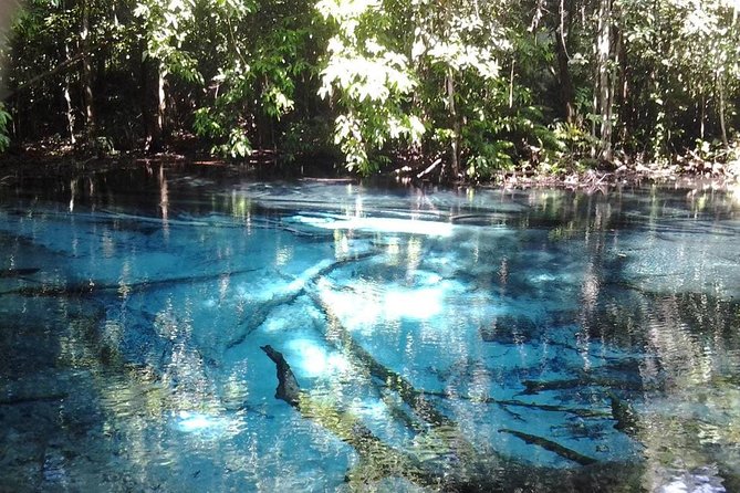 Krabi Emerald Pool, Hot Spring and Tiger Temple - Emerald Pool, a cool first swim