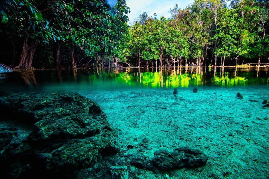 Krabi: Emerald Pool & Hot Spring Waterfall with Kayaking - What this full-day Krabi outing is really like