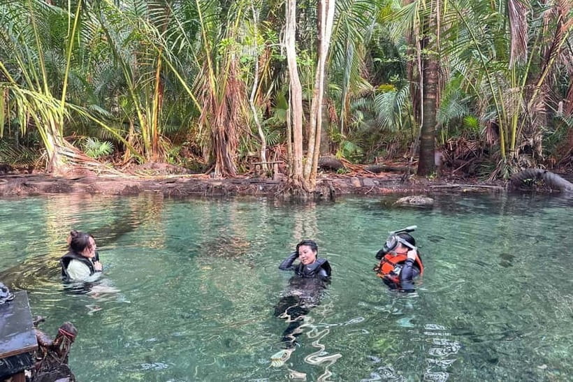 Krabi: Emerald Pool, Hot Springs, and Kayaking Tour - Should you book the Emerald Pool and kayaking tour?
