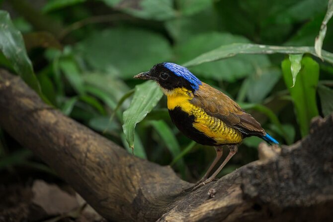 Krabi Jungle Adventure: Emerald Pool, Hot Springs & ATV - Walking to Emerald Pool and Blue Lagoon