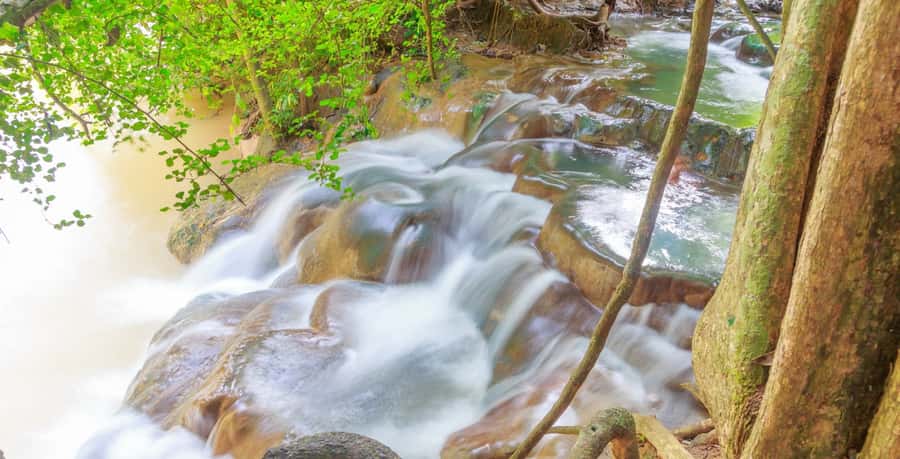 Krabi: Klongtom Hot Spring, Emerald Pool and Tiger Cave Tour - The four details that matter most