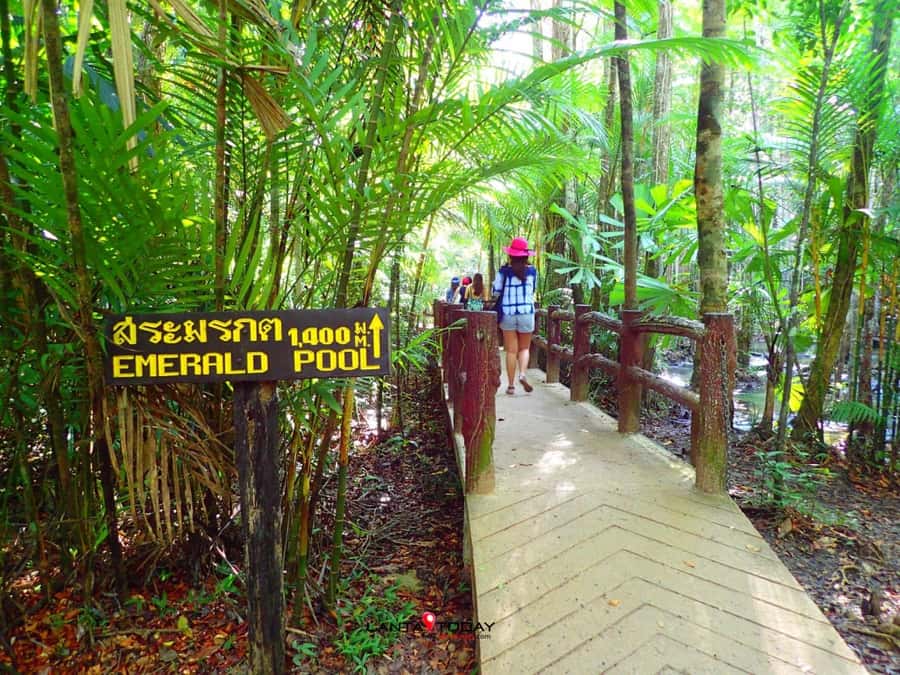 Krabi: Klongtom Hot Spring, Emerald Pool and Tiger Cave Tour - Walking to the Klongtom hot springs