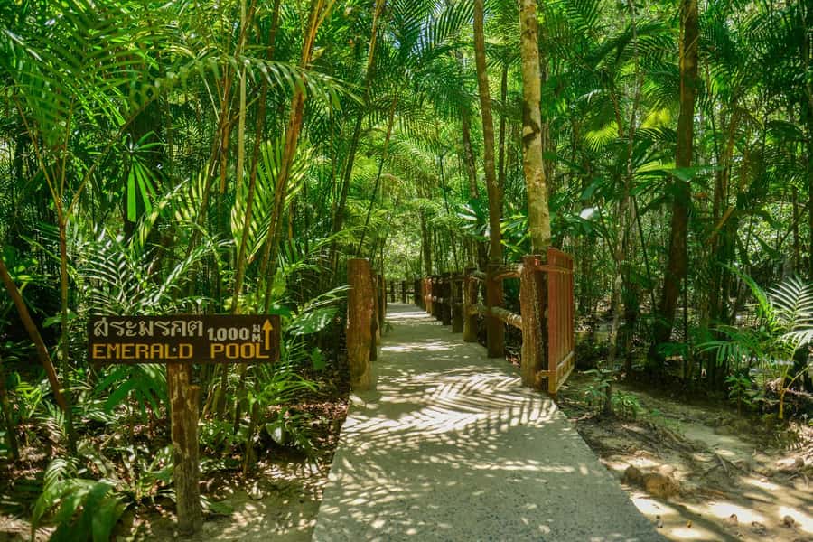 Krabi Private Escape: Emerald Pool, Hot Springs & Tiger Cave - FAQ