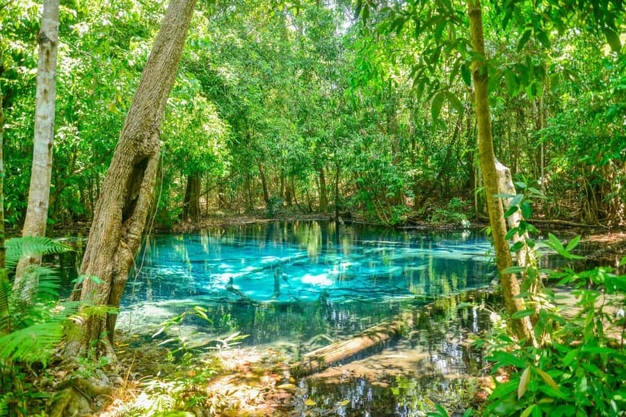 Krabi Private Escape: Emerald Pool, Hot Springs & Tiger Cave - A private Krabi day without a fixed group schedule