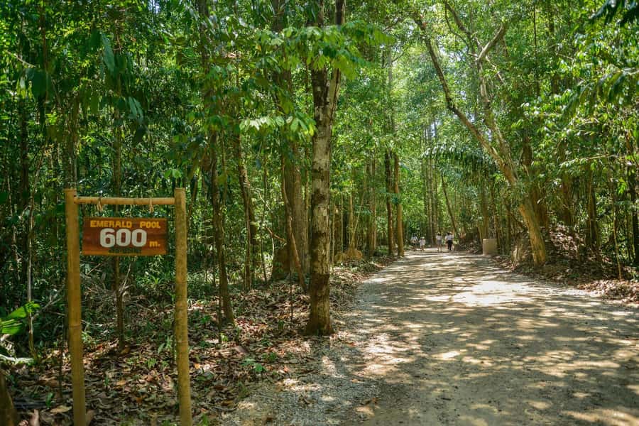 Krabi Private Escape: Emerald Pool, Hot Springs & Tiger Cave - Tiger Cave Temple and its 1,200 steps