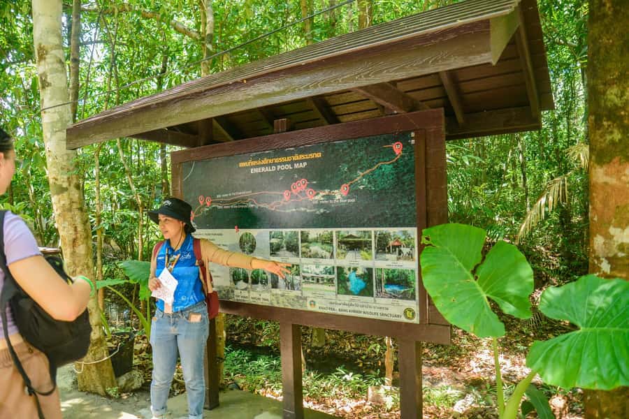 Krabi Private Escape: Emerald Pool, Hot Springs & Tiger Cave - What the driver does, and what the driver does not do