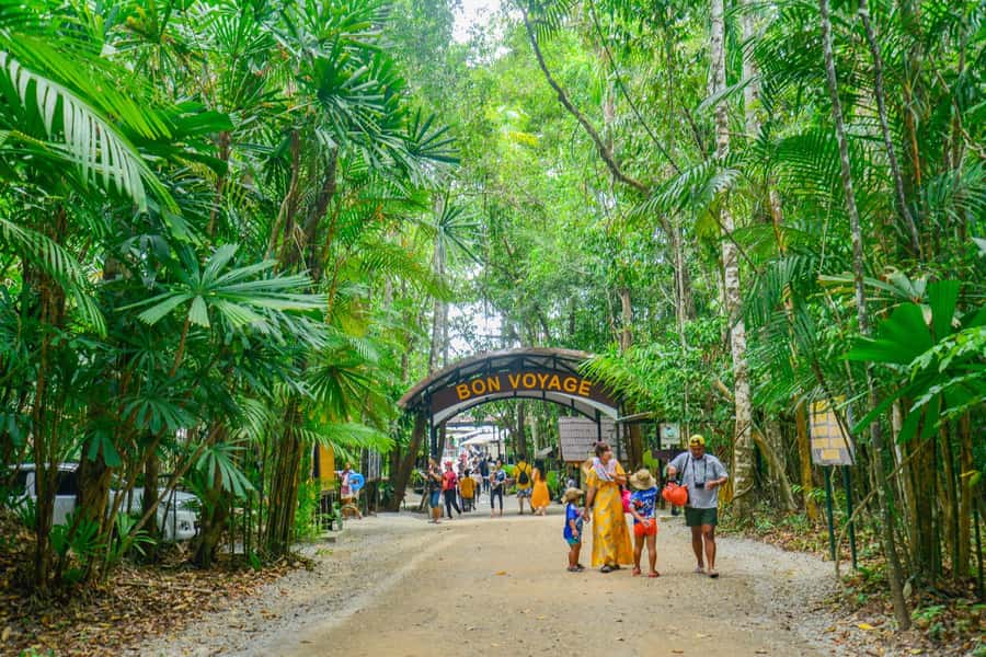 Krabi Private Escape: Emerald Pool, Hot Springs & Tiger Cave - Timing, fitness, and what to pack