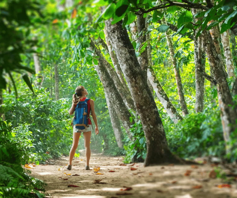 Krabi: Rainforest Jungle Tour with Emerald Pool & Hot Spring - Emerald Pool and the one-hour time squeeze