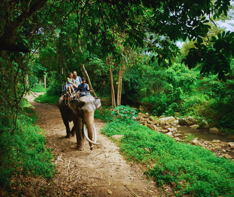 Krabi: Rainforest Jungle Tour with Emerald Pool & Hot Spring - Is this really a rainforest trek?