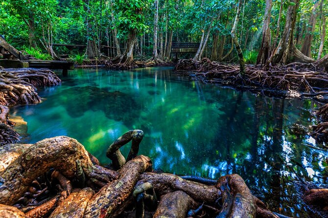 Krabi's Hidden Gems: Emerald Pool & Hot Spring Tour - What to Pack for the Pools and Forest Paths
