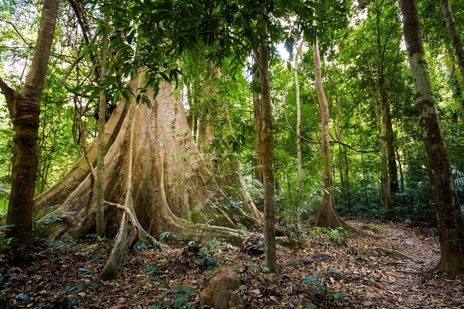 Krabi's Hidden Gems: Emerald Pool & Hot Spring Tour - Weather, Cancellation, and Booking Flexibility