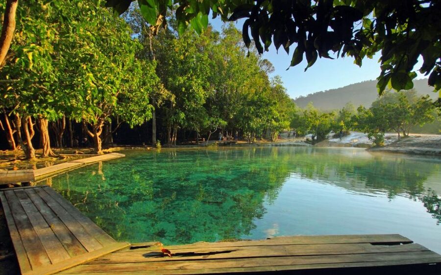 Krabi: Tiger Cave, Hot Springs and Emerald Pool Jungle Tour - Tiger Cave Temple and 1,260 steep steps