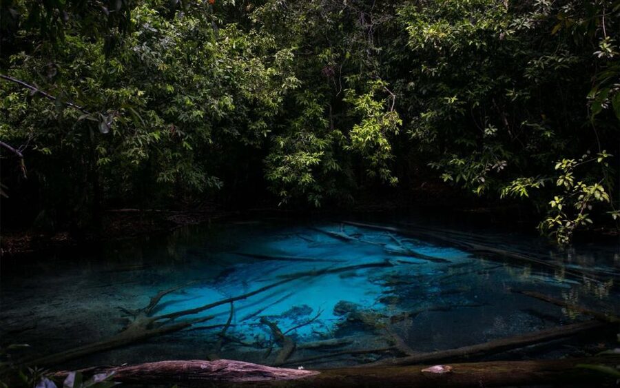 Krabi: Tiger Cave, Hot Springs and Emerald Pool Jungle Tour - Hot Spring Waterfall: a gentle start