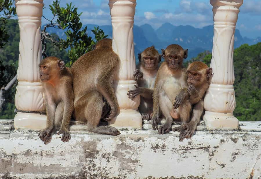 Krabi: Tiger Cave, Hot Springs & Emerald Pool Private Tour - How the private van affects the experience