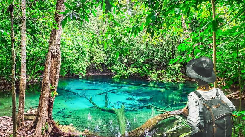 Krabi: Tiger Cave Temple, Emerald Pool and Hot Springs Tour - Blue Lagoon: roots, shade, and photographs