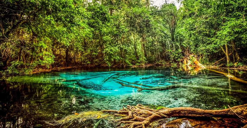 Krabi: Tiger Cave Temple, Emerald Pool and Hot Springs Tour - Krabi Hot Springs: warm water and a slower pace