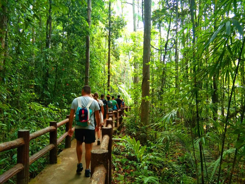 Krabi: Tiger Temple, Hot Springs & Crystal Pool Jungle Tour - The Emerald Pool and its forest trail