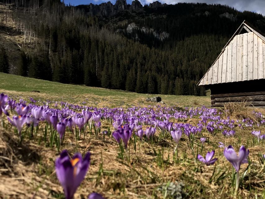 Krakow: Hiking Adventure in Tatra Mountains & Thermal Baths - What to pack for a smoother day