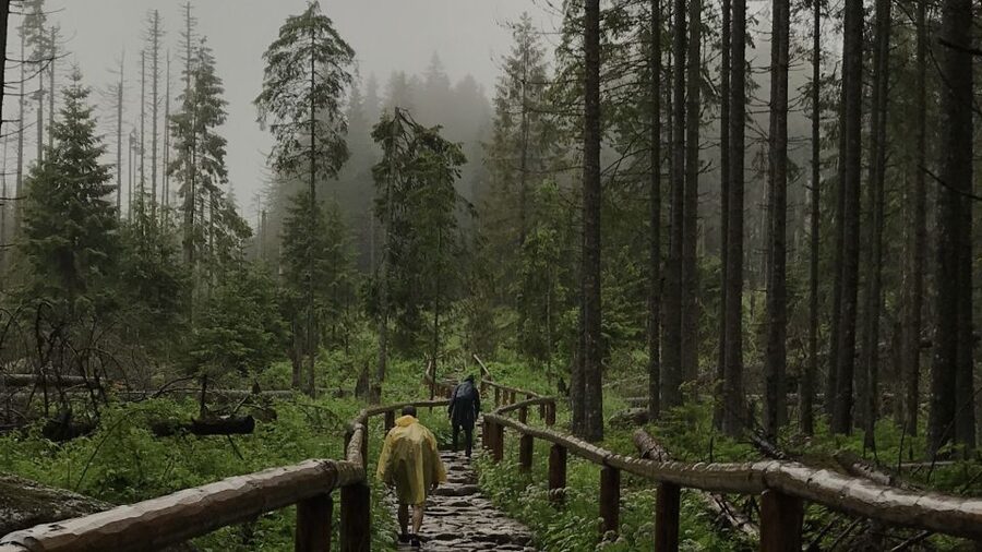 Krakow: Hiking Adventure in Tatra Mountains & Thermal Baths - Five hours among the Tatra peaks