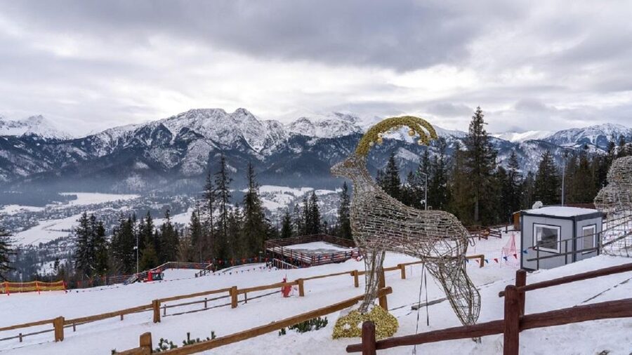 Krakow: Zakopane and/or Thermal Baths Experience - Transport, timing, and the guide’s role