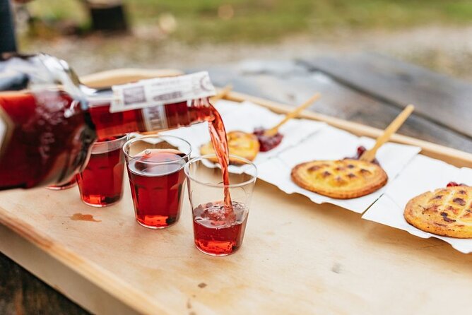 Krakow–Zakopane: Cable Car, Chocholow Baths, Cheese & Vodka - Morning pickup and the road south