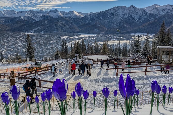 Krakow Zakopane Cable Car Vodka Cheese and Hot Springs Tour - Who should book this Zakopane tour?