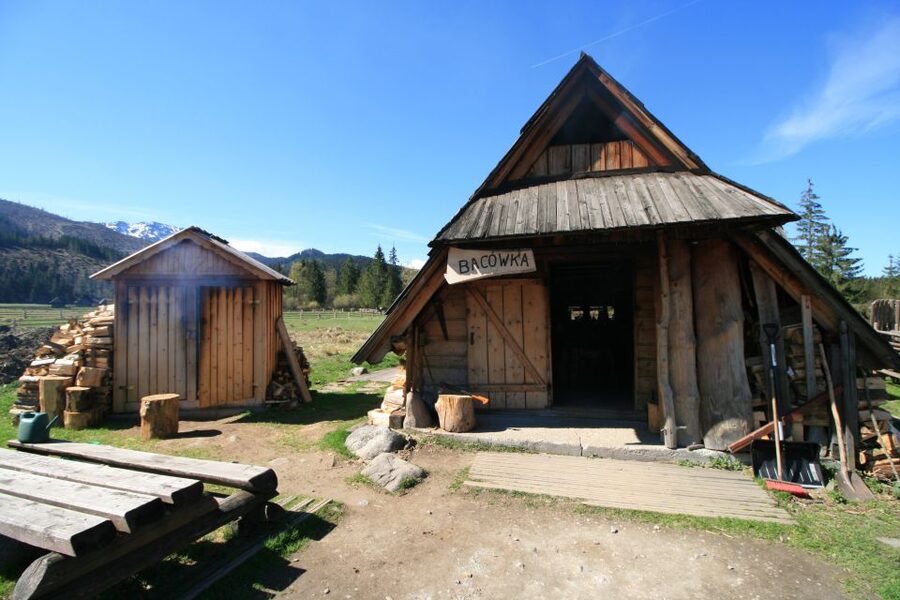 Krakow: Zakopane Day Tour with Optional Thermal Baths - At a glance