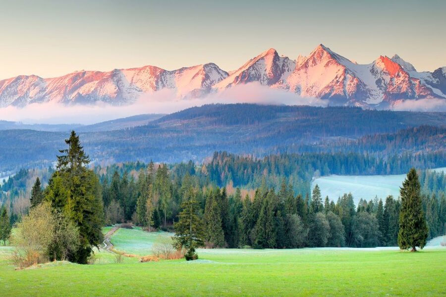Krakow: Zakopane Day Tour with Optional Thermal Baths - Krupówki Street and free time in Zakopane