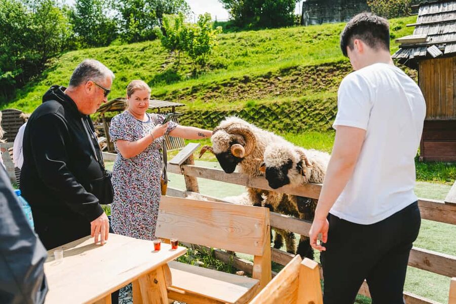 Krakow: Zakopane, Gubałówka, and Thermal Baths Day Trip - Why this makes a good day from Krakow