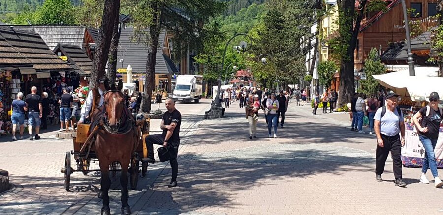 Krakow: Zakopane, Gubałówka & Thermal Baths – Full-Day Tour - Zakopane: two hours for the town center