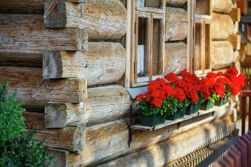 Krakow: Zakopane & Hot Springs Shared Trip - Three hours, or possibly two, at Chocholowska Baths