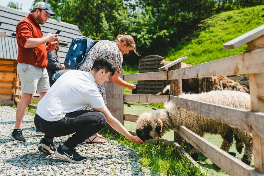 Krakow: Zakopane One Day Trip with Funicular & Thermal Pools - Key points to know before booking