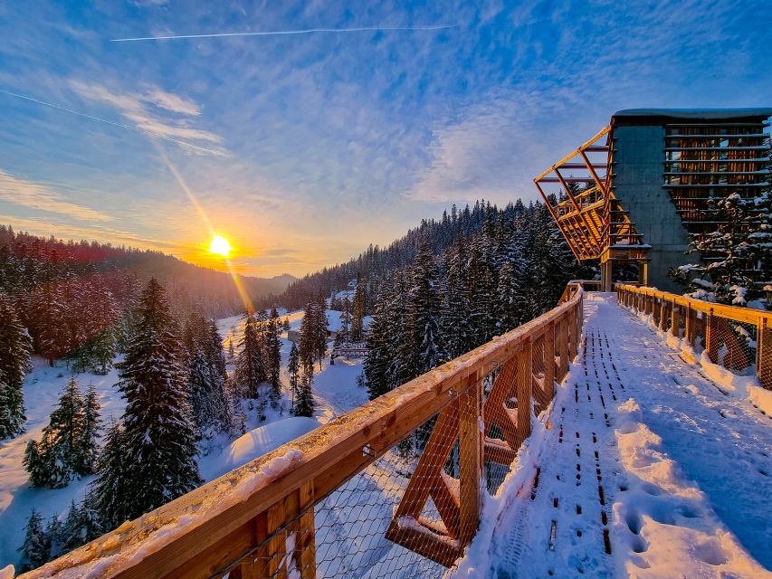 Krakow: Zakopane, Thermal Baths and Gorce Park Treetop Walk - Walking above the trees at Brama w Gorce